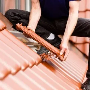 Slide of Millennial Roofers