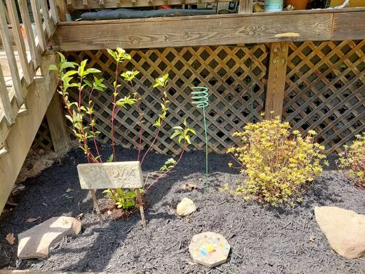 Millers Handyman Logo