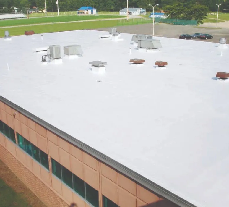Licensed roof replacement in Cotopaxi, CO - Miller's Quality Coating Systems