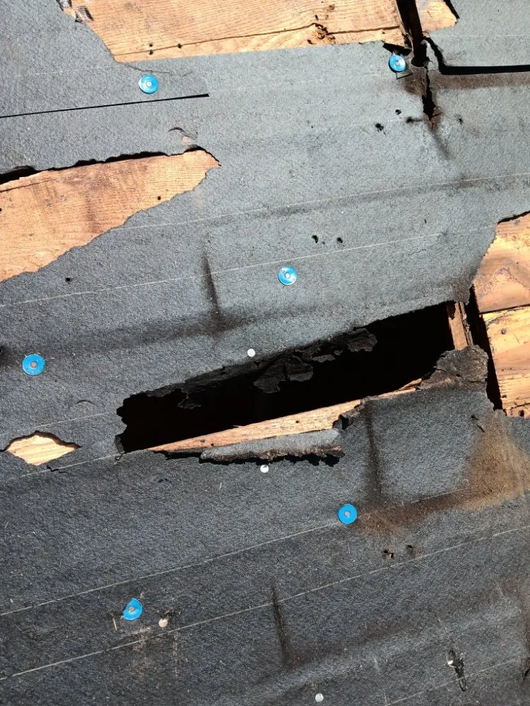 Local shingle roofing service for fast service in Woodford, VA by Mills Home Improvements