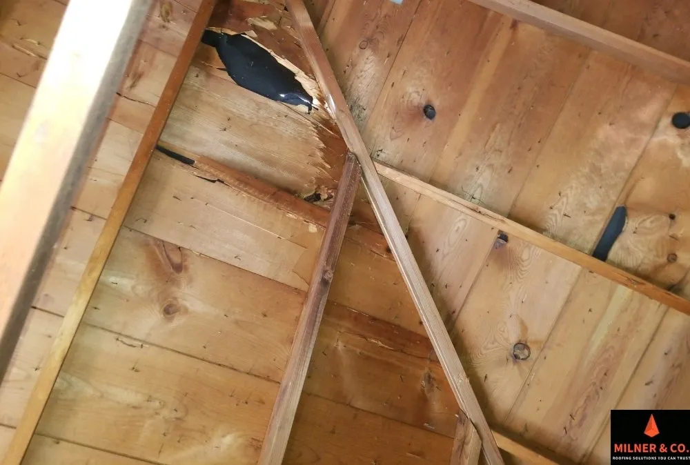 Slide of Milner & Co Roofing