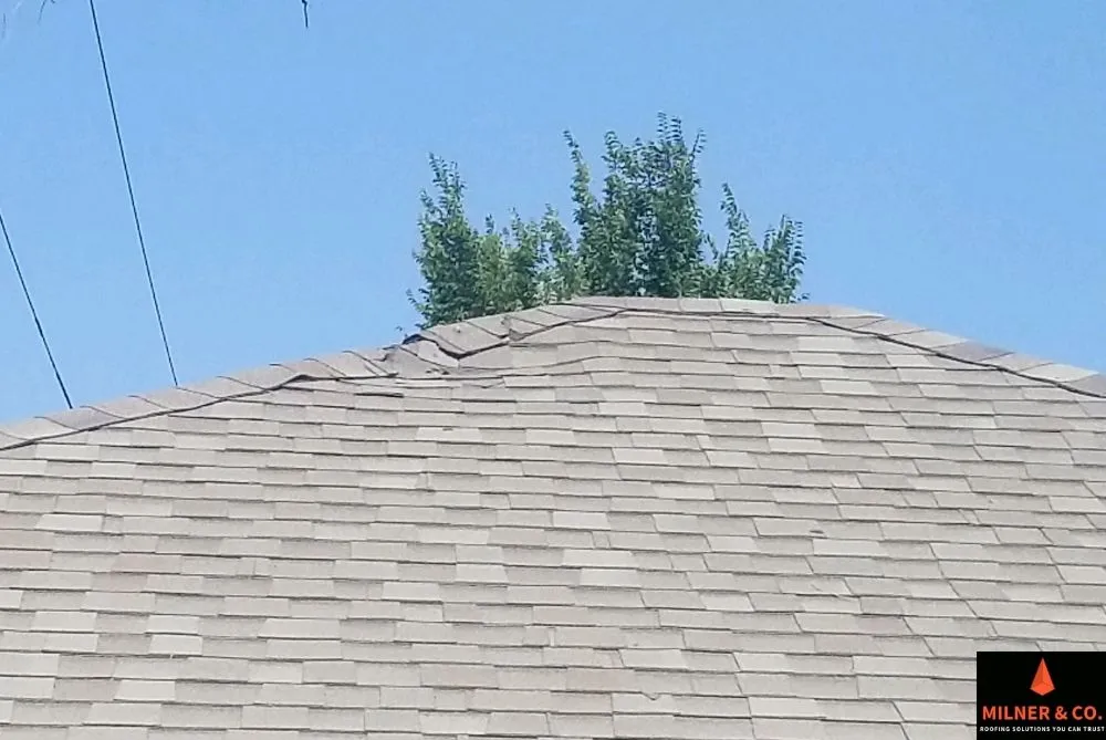 Slide of Milner & Co Roofing