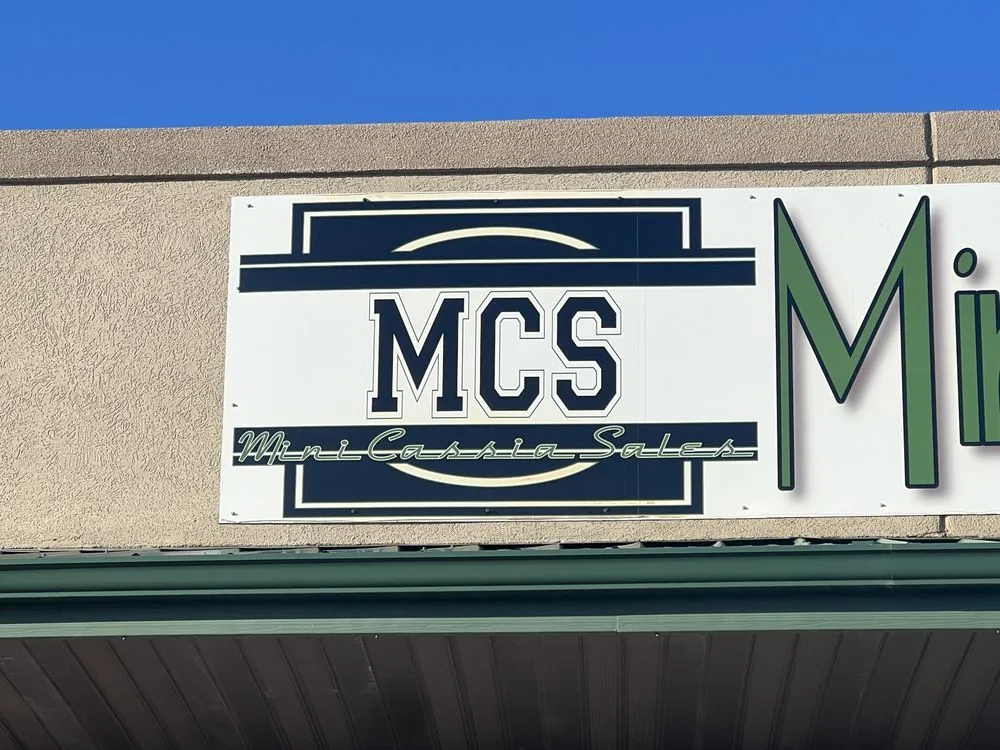 Slide of Mini-Cassia Sales