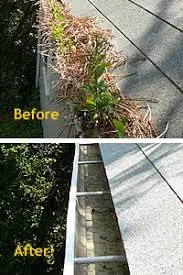 Slide of Mint Gutter Cleaning