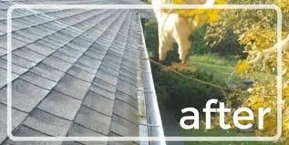 Slide of Mint Gutter Cleaning