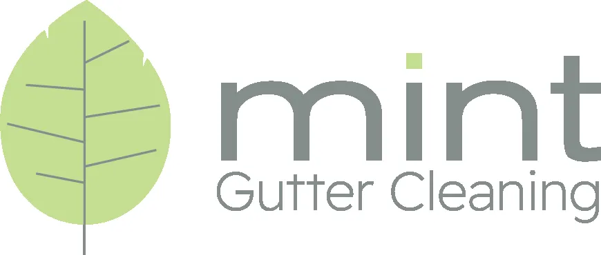 Slide of Mint Gutter Cleaning