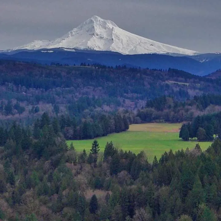 Slide of Miracle Maintenance