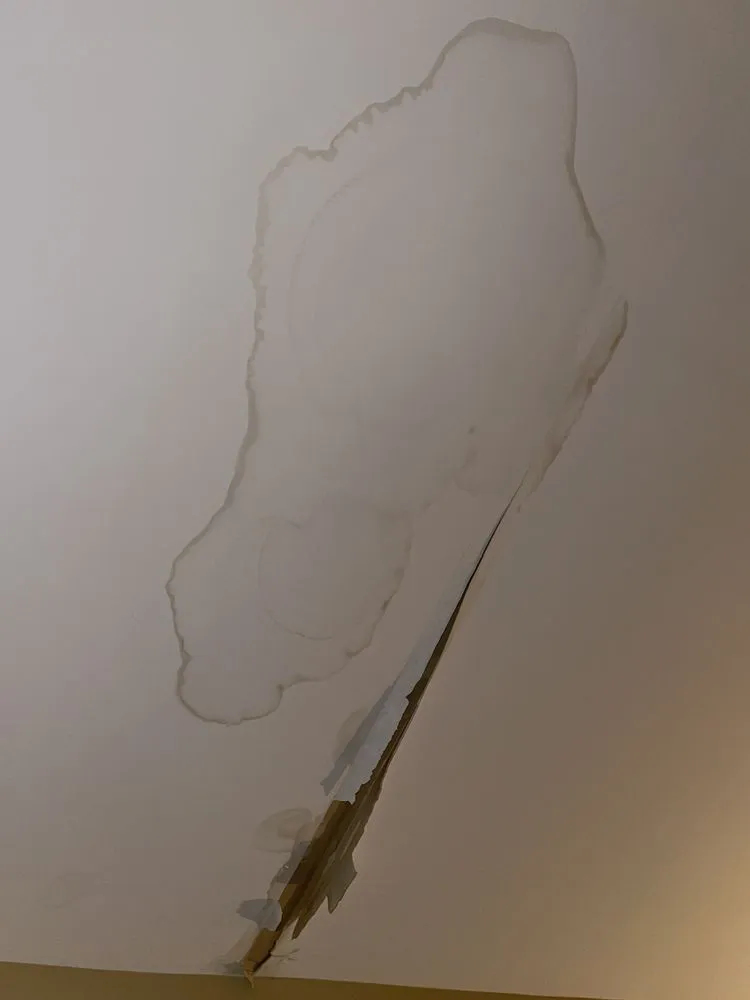 Slide of Mitten & Company