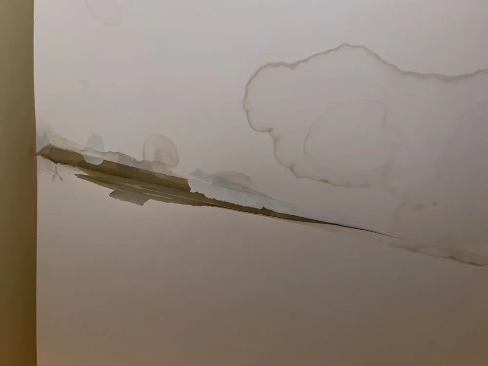 Slide of Mitten & Company