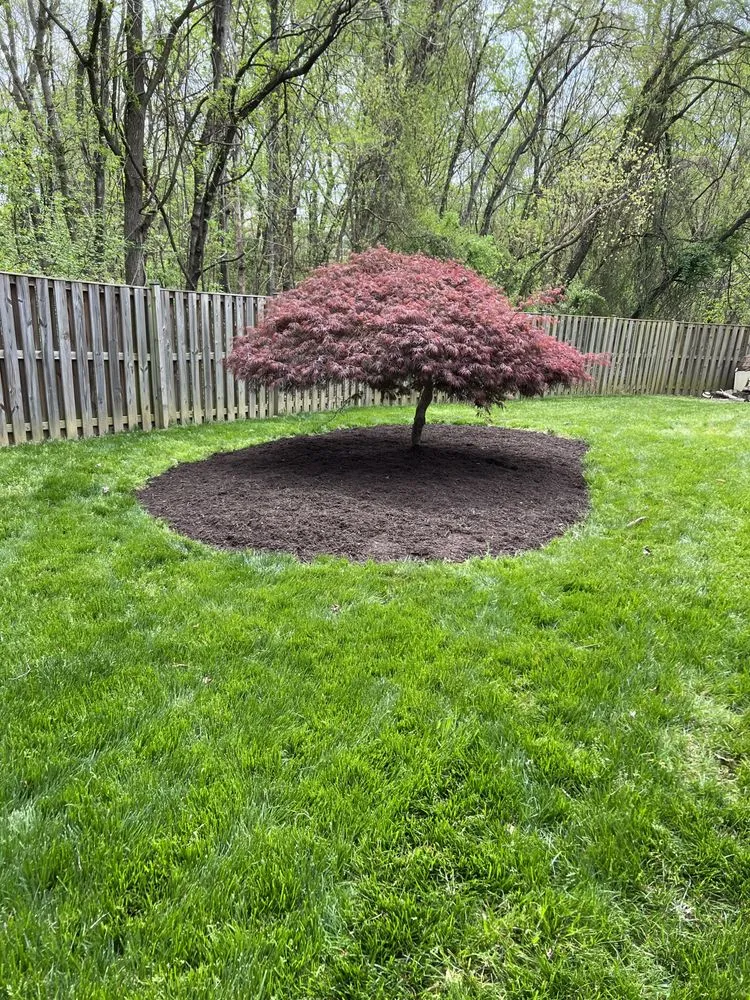 Slide of M&J Constructing