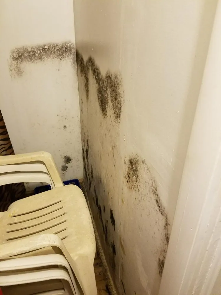 Slide of MJ Home Services & Flood Restoration