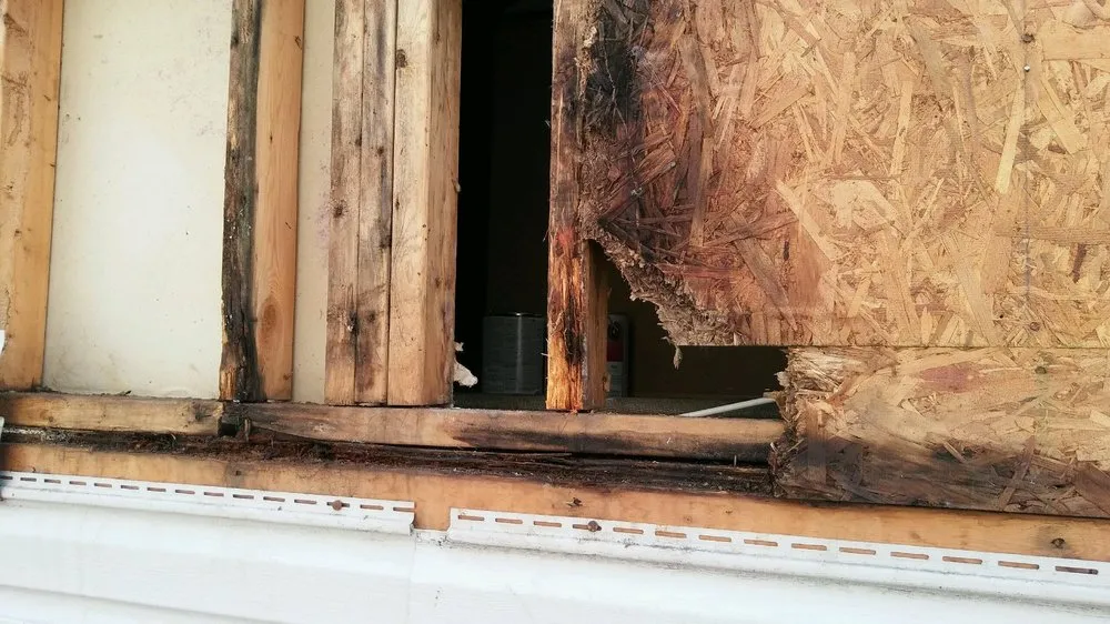 Slide of MJ Home Services & Flood Restoration