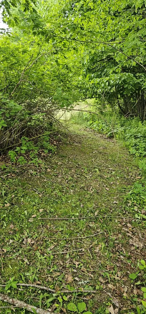 Slide of MJ's Property Services