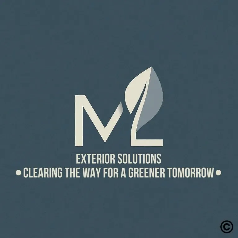 Slide of ML Exterior Solutions 