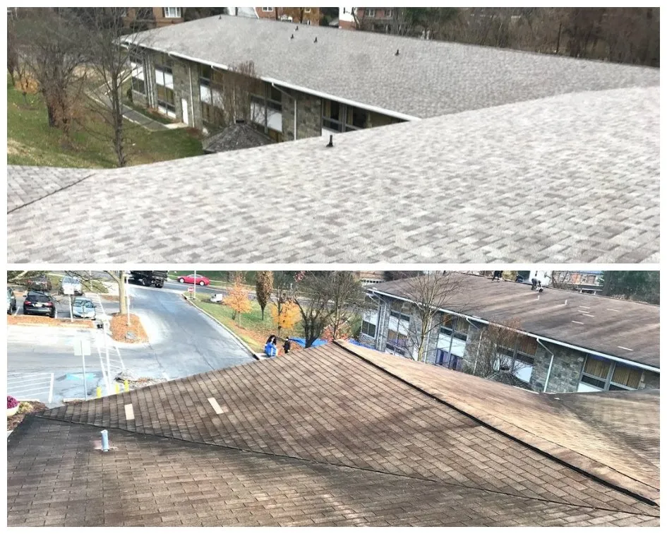 Slide of MLM Home Improvement