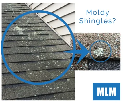 Slide of MLM Home Improvement