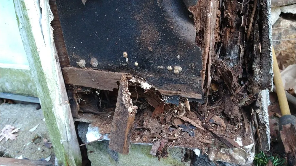 Slide of M&M Construction Specialist