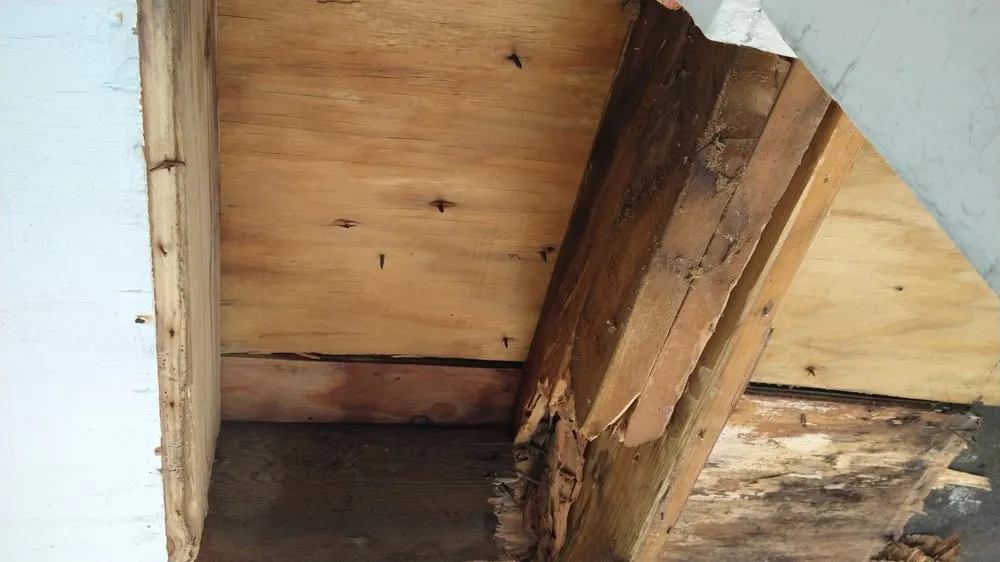 Slide of M&M Construction Specialist