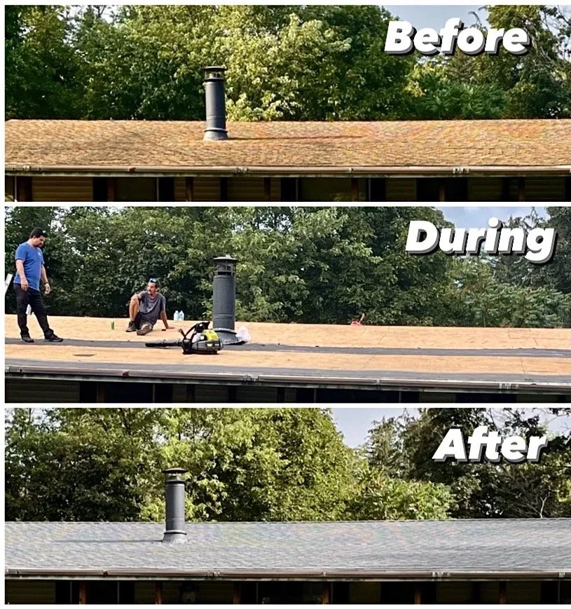 Slide of MM Dynamic of New York