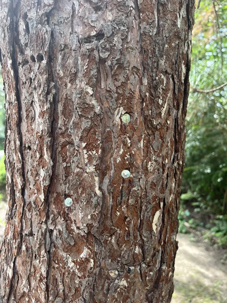 Slide of M&M Home Remodeling Services