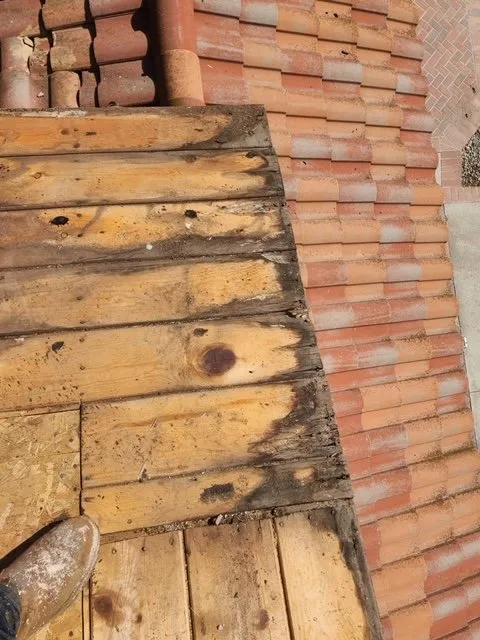 Slide of MMM Roofing