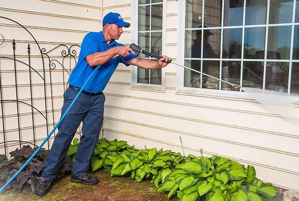 Slide of MnM Service