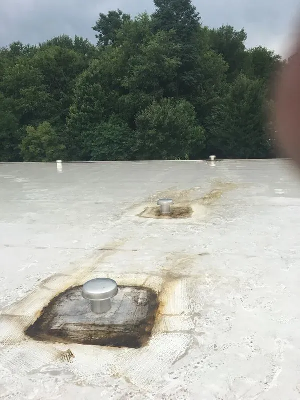 Slide of Mo Shingles