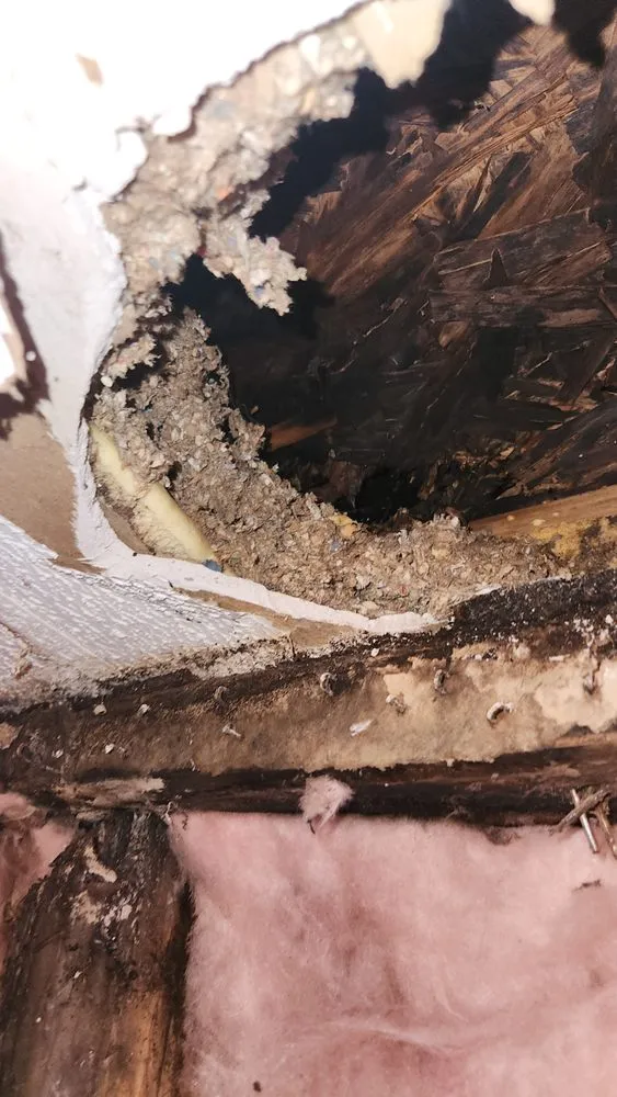 Slide of Mobile Home Contractor