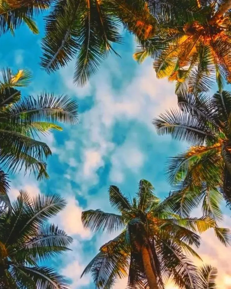 Slide of Modern Remodeling