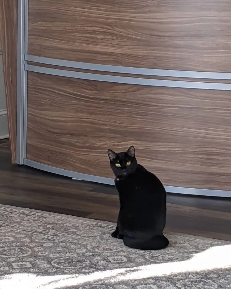 Slide of Modern Renovations