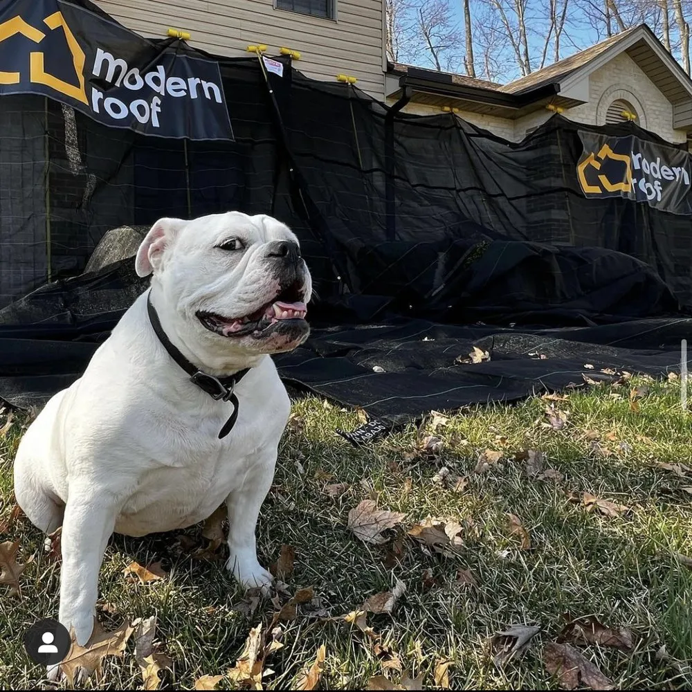 Slide of Modern Roof