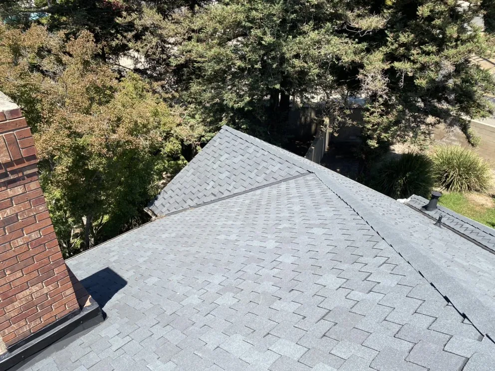 Slide of Modern Roofers and Restoration