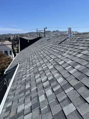 Modern Roofing