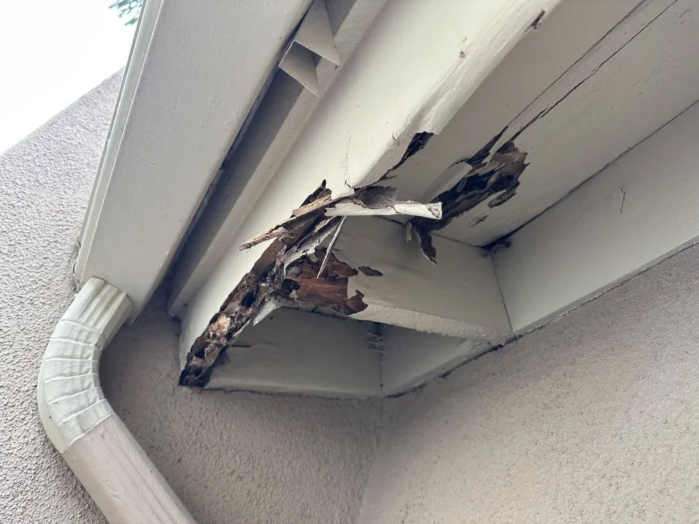 Slide of Modern Roofing Solutions