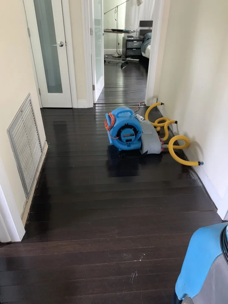 Slide of Moisture Guards