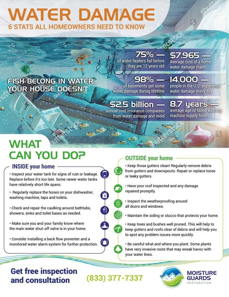 Slide of Moisture Guards