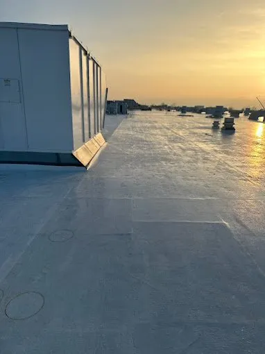 Slide of Molina Dynasty Construction