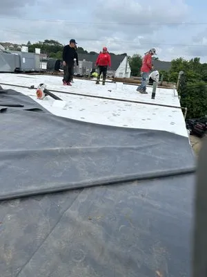 Molinari Roofing