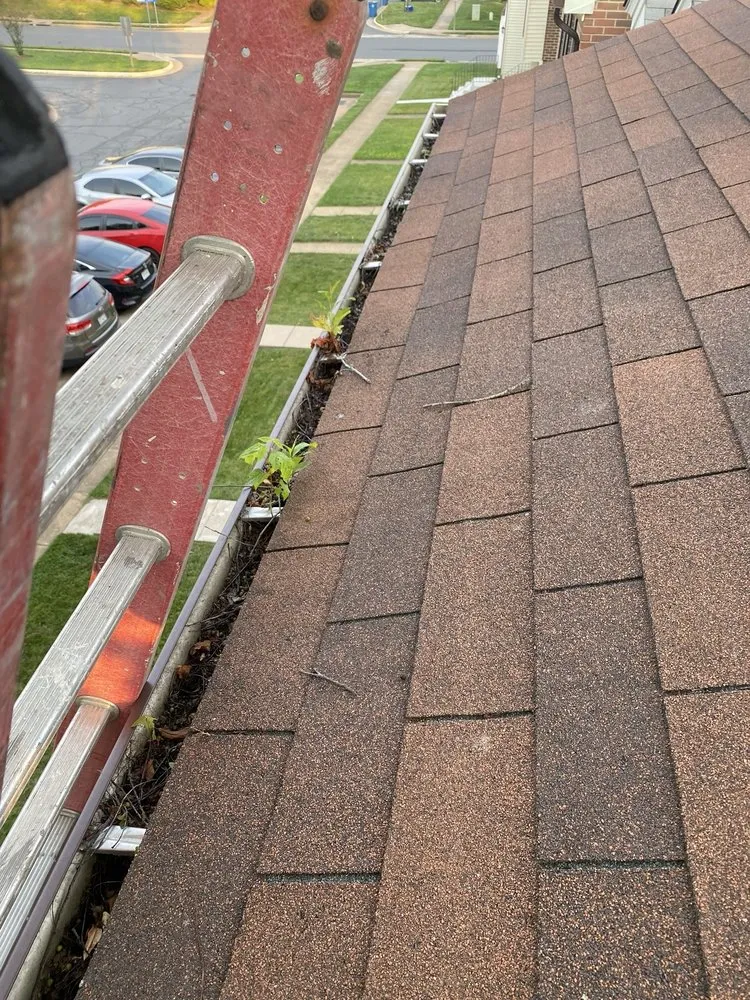 Slide of Molinas Fence and Remodeling