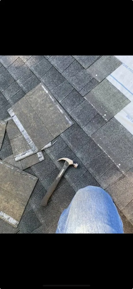 Slide of Molinas Fence and Remodeling