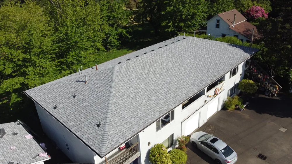 Slide of Molinas Painting & Construction