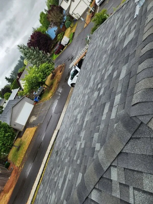 Slide of Molinas Painting & Construction