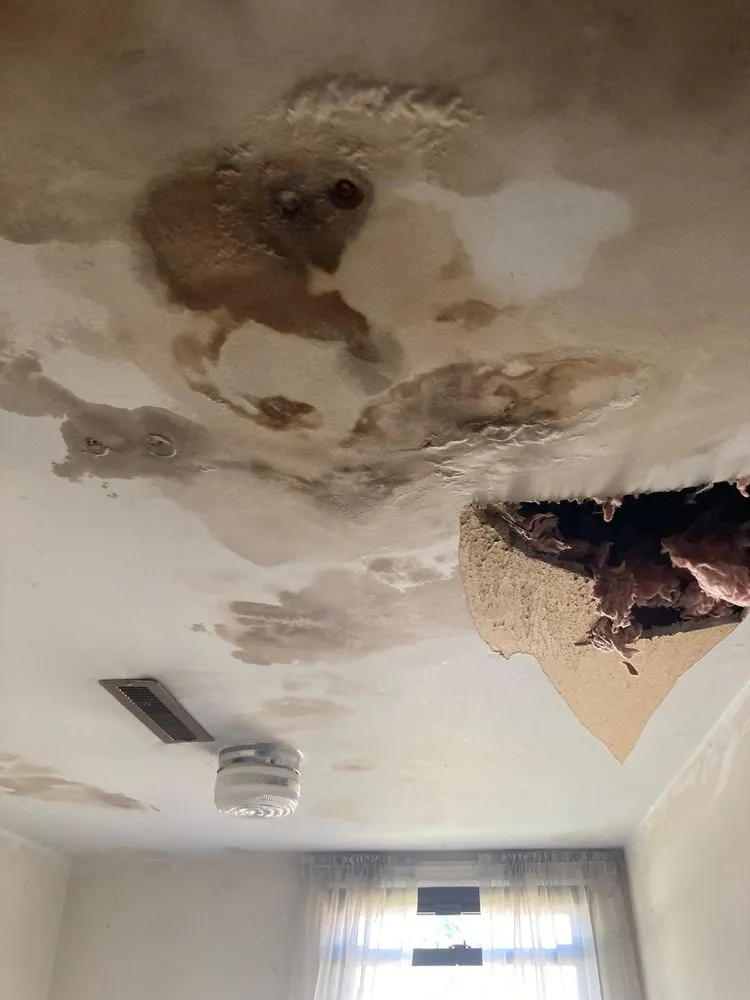 Slide of Mollenhauer Developers