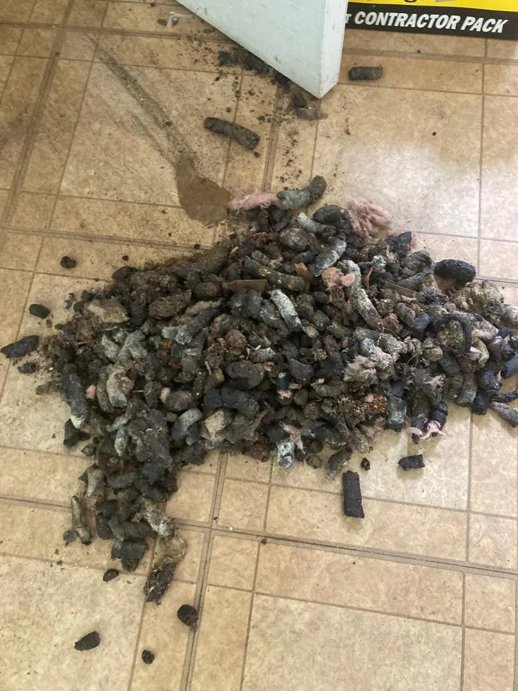 Slide of Mollenhauer Developers