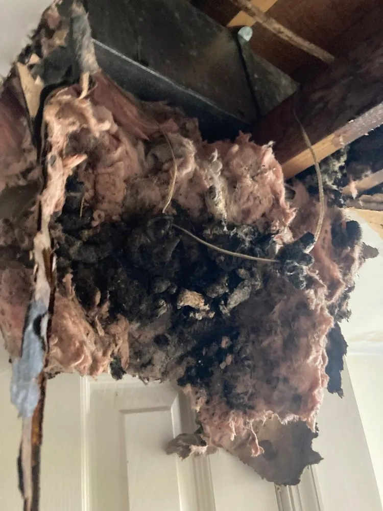 Slide of Mollenhauer Developers