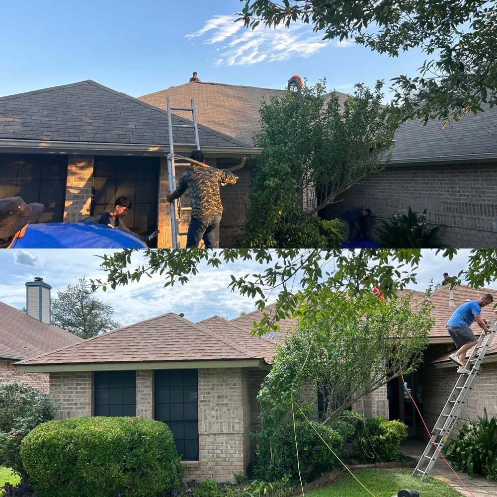 Slide of Momma Bear Roofer