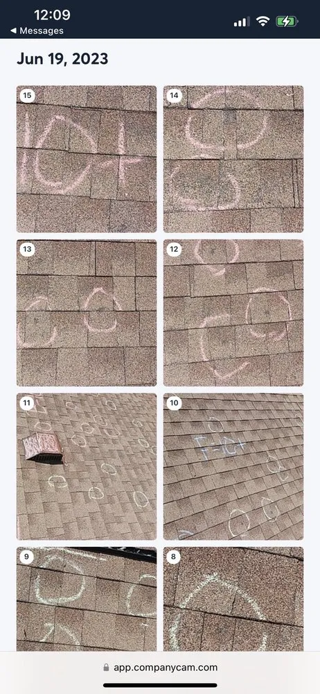 Slide of Momma Bear Roofer