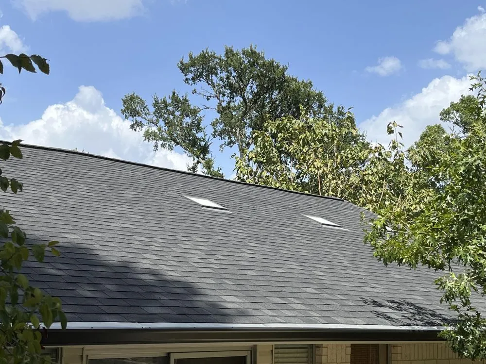 Slide of Momma Bear Roofer