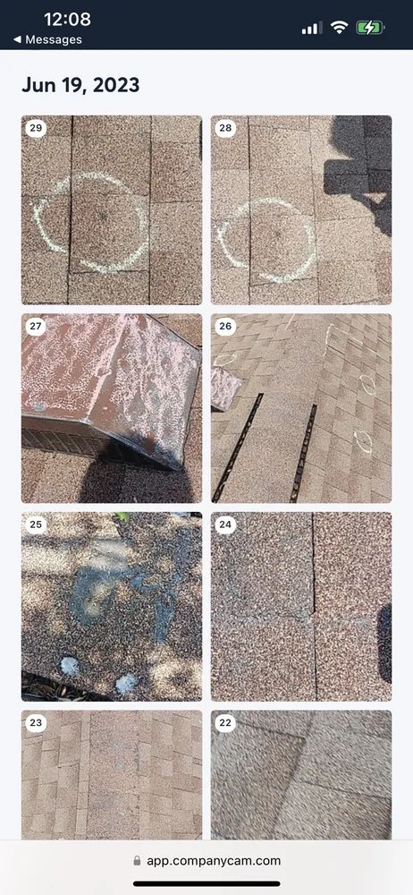 Slide of Momma Bear Roofer