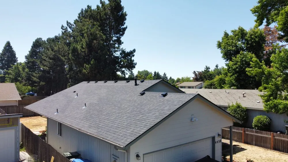 Slide of Monkey Roofing